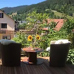 Апартаменты Friedel *
